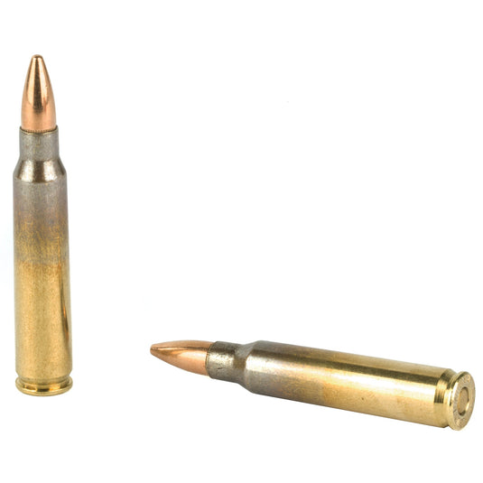 AGUILA 223REM 55GR FMJ 50/1000 - AGA1E223110 - Marksmans Corner