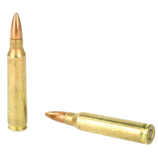 REM UMC 223REM 55GR FMJ 20/200 - REM23711 - Marksmans Corner